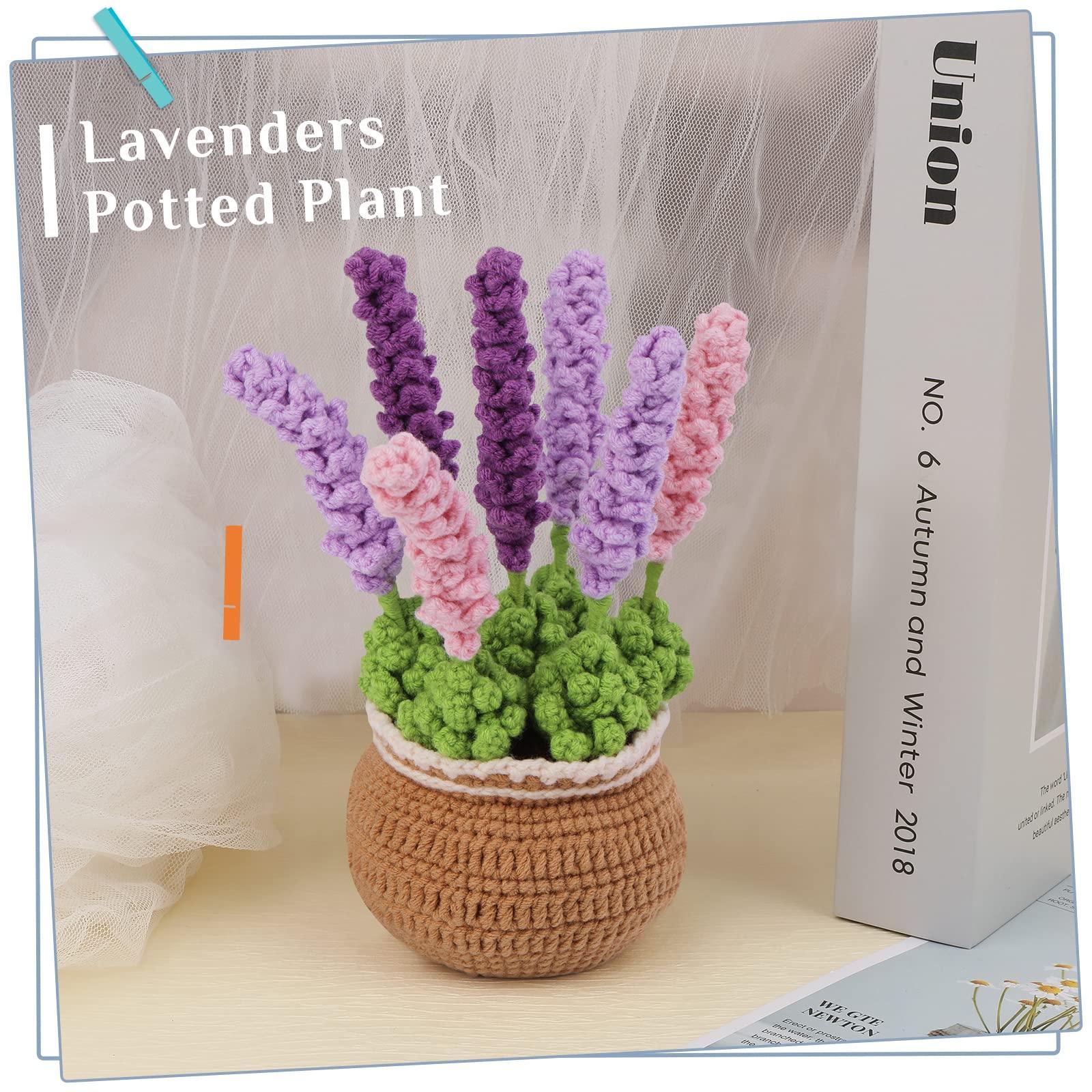 Purple Lavender Crochet Kit for Beginners